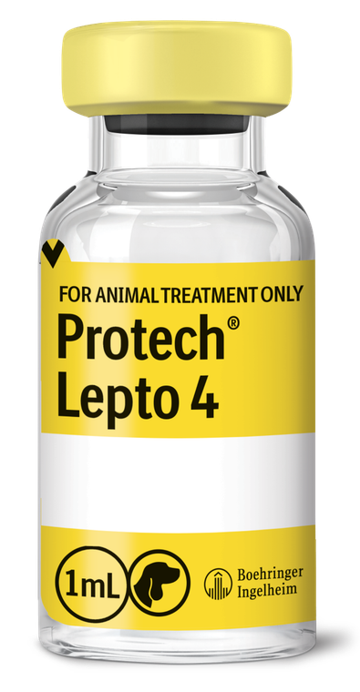 PROTECH Lepto 4 (10 x 1 Dose Vials)
