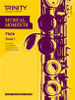 Musical Moments Flute Bk 1-5