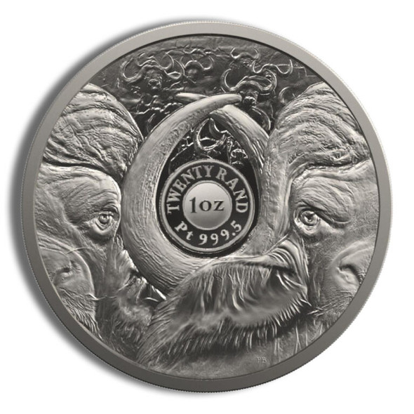 2023 1 oz Platinum South African Big 5 Buffalo Coin - Proof