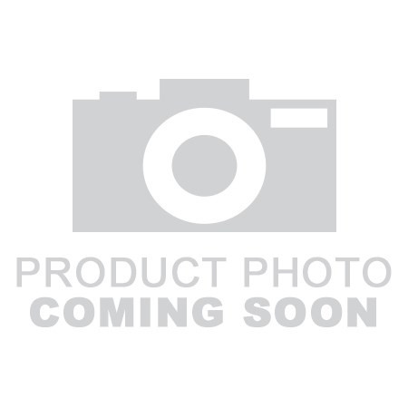 $1 Gold Princess Type 2 BU