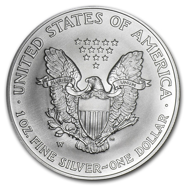 2007-W Burnished Silver Eagle (Box & COA)