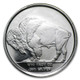 1/10 oz Silver Round - Buffalo