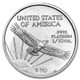 1/10 oz American Platinum Eagle Coin BU