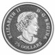 Canada 1/4 oz Platinum Maple Leaf BU
