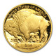 2013-W 1 oz Proof Gold Buffalo (w/box & COA)
