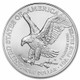 2022 1oz Silver Eagle 500 Coin-Monster Box BU