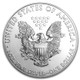 2013 1oz American Silver Eagle BU