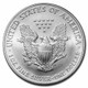 2004 1oz American Silver Eagle BU