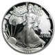 1989-S Proof Silver Eagle (Box & COA)