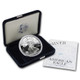 2000-P Proof Silver Eagle (Box & COA)