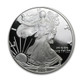2006-W Proof Silver Eagle (Box & COA)