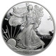 2007-W Proof Silver Eagle (Box & COA)