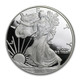 2010-W Proof Silver Eagle (Box & COA)