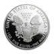 2010-W Proof Silver Eagle (Box & COA)