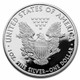 2013-W Proof Silver Eagle (Box & COA)