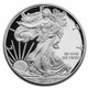 2013-W Proof Silver Eagle (Box & COA)