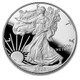 2020-W Proof Silver Eagle (Box & COA)