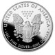 2020-W Proof Silver Eagle (Box & COA)