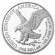 2021-W Proof Silver Eagle Type 2 (Box & COA)