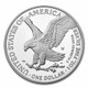 2023-W Proof Silver Eagle (Box & COA)