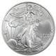 2006-W Burnished Silver Eagle (Box & COA)