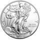 2013-W Burnished Silver Eagle (Box & COA)