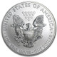 2014-W Burnished Silver Eagle (Box & COA)