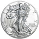 2015-W Burnished Silver Eagle (Box & COA)