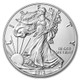 2016-W Burnished Silver Eagle (Box & COA)