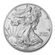 2020-W Burnished Silver Eagle (Box & COA)
