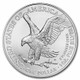 2021-W Burnished Silver Eagle Type 2 (Box & COA)