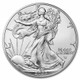 2022-W Burnished Silver Eagle (Box & COA)