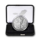 2024-W Burnished Silver Eagle (Box & COA)