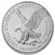 2024-W Burnished Silver Eagle (Box & COA)
