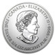 2013 3/4 oz Canada Silver Devil's Brigade