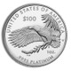Proof Platinum Eagle - In Cap or Slab