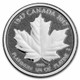 Platinum Maple Leaf - 1/4 oz (Year Varies)