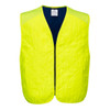 Cooling Evaporative Vest