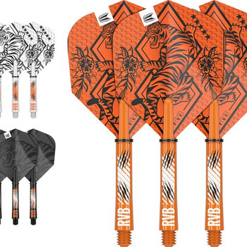 Raymond Van Barneveld Ink Flight & Shaft Kit Raymond Van Barneveld Ink Flight & Shaft Kit