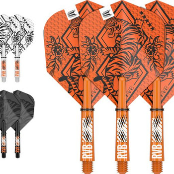 Raymond Van Barneveld Ink Flight & Shaft Kit Raymond Van Barneveld Ink Flight & Shaft Kit