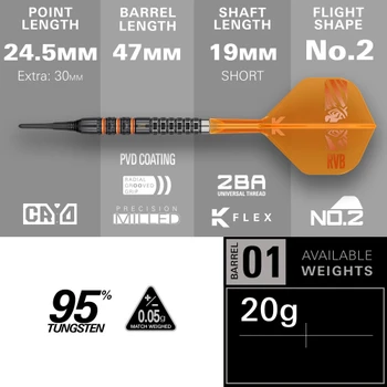 Target Raymond van Barneveld 95K Soft Tip Darts - 20g