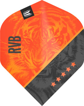 Target Raymond Van Barneveld Pro Ultra G4 No2 Flight Target Raymond Van Barneveld Pro Ultra G4 No2 Flight