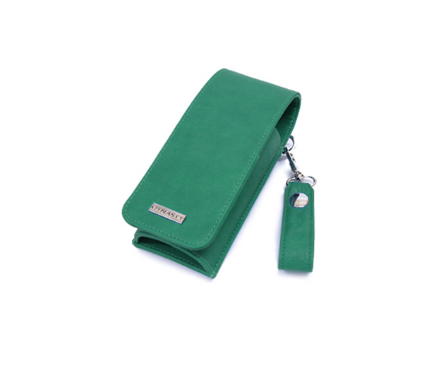 Dynasty GARAGE S Dart Case - Green