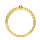 Photo of Abilia 1/10 Carat T.W. Sapphire and Diamond Mens Wedding Band 14K Yellow Gold [BT877YM]