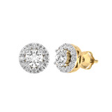 Photo of Mani 1 CT. T.W. Diamond Earring 14K Yellow Gold [CE1610Y]