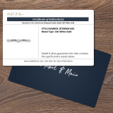 Beatrix 0 ct tw. No Gemstone Diamond Ladies Band 14K White Gold Beatrix 0 ct tw. No Gemstone Diamond Ladies Band 14K White Gold