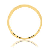 Photo of Tessa 1/8 ct tw. Diamond Ladies Band 10K Yellow Gold [BT496YL]