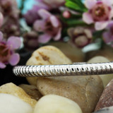 Photo of Evan 0 ct tw. No Gemstone Ladies Band 10K White Gold [BT435WL]