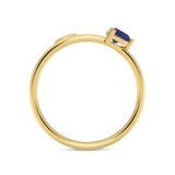 Photo of Lucia 3/8 ct tw. Lab Grown Diamond Ring 14K Yellow Gold [FR2004Y]