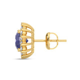 Photo of Clara 1/2 Carat T.W. Lab Grown Diamond Earring 14K Yellow Gold [CE2012Y]